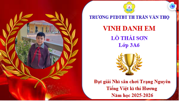 Lò Thái Sơn 3A6